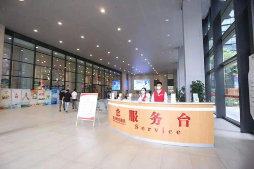 顺义区政务服务中心 优化咨询引导服务，升级网络技术支撑